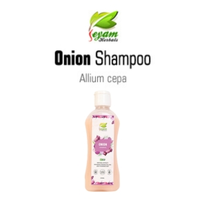 onion Shampoo | Vengayam Shampoo