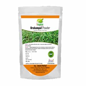 Arukampul Powder