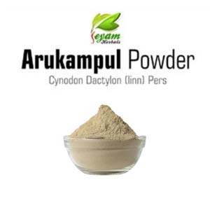 Arukampul Powder | Bermuda Grass | Karuka Grass | Garika Gaddi