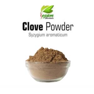 Clove Powder | Syzygium aromaticum | Kirambu | Lavang | Graampa