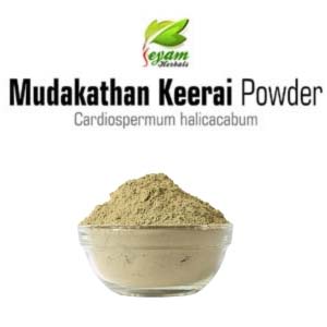 Mudakkathan Keerai Powder | Balloon Plant Leaves | Jyotishmati