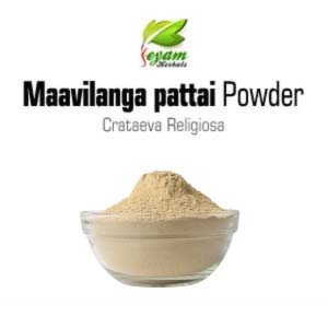 Mavilangapattai | Holy garlic pear | Barna | Nir mathalam