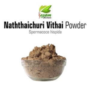 Naththaichuri Vithai Powder | Borreria Hispida Seed| Madanaghanti