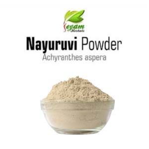 Nayuruvi powder | Prickly Chaff Flower | Onga | Apamarga Powder