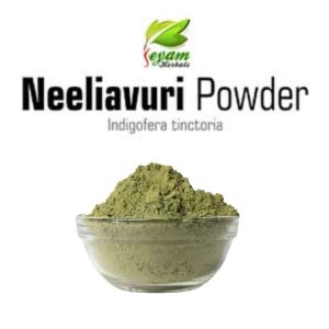 Neeliavuri Powder | Indigofera Tinctoria | Indian Indigo | Neeli