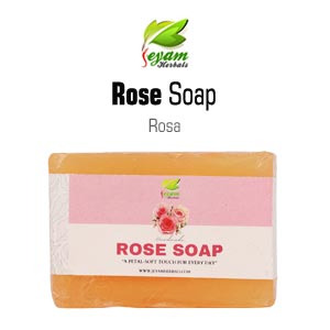 Roja Poo soap| Rosa Damscena | Gulab | Panineer | Rojapuvvu