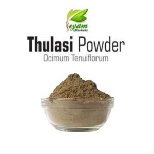 Thulasi powder | Ocimum tenuiflorum | Sacred Basil | Tulsi